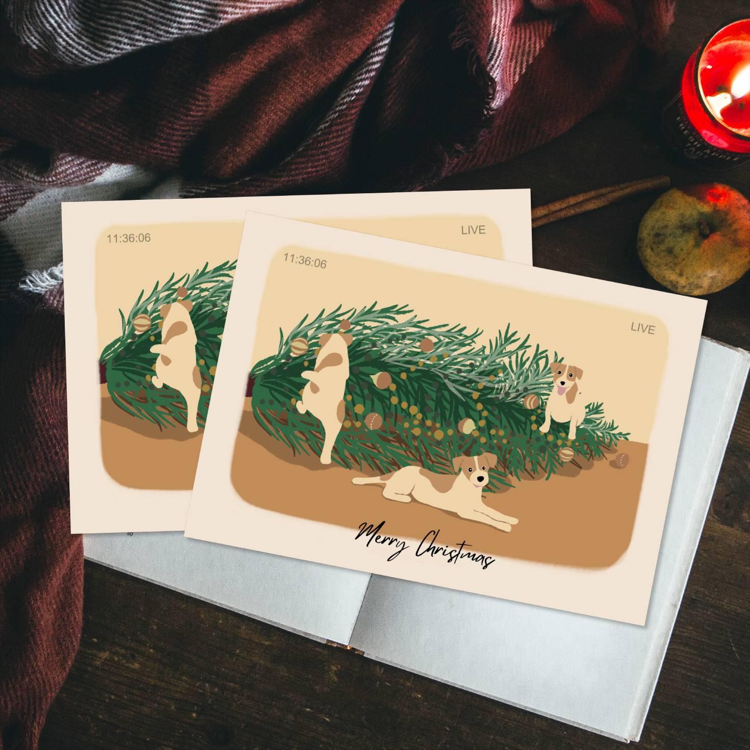 ジャックラッセルテリア【見守りカメラライブ】ポストカード2枚 クリスマスカード1枚目の画像